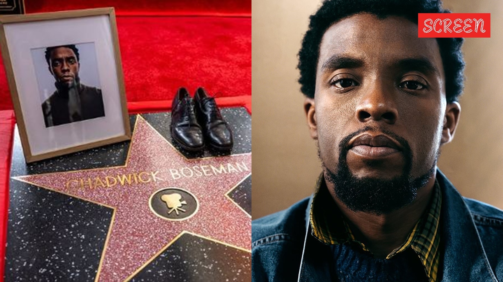 Chadwick Bosemans Legacy Immortalized: Hollywood Walk of Fame Star Unveiled as Wife Honors Him with Heartfelt Tribute.